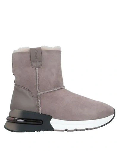 Ash Ankle Boots In Dove Grey