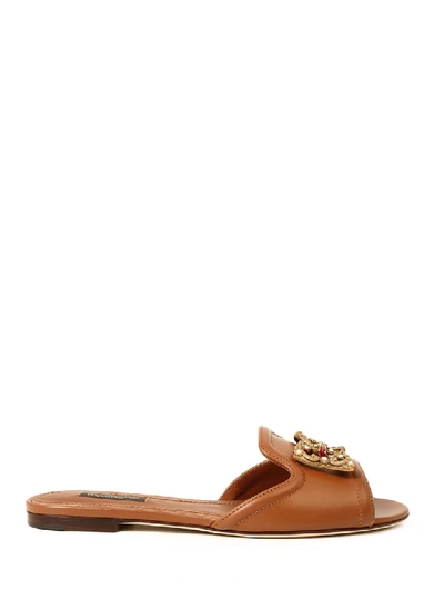 Dolce & Gabbana Slide Sandal Dg Logo In Brown
