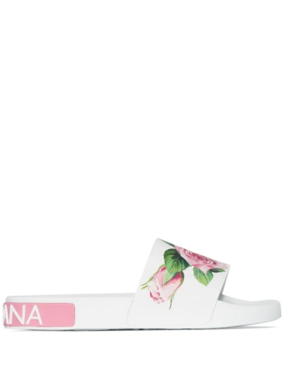 Dolce & Gabbana Rose Printed Pool Slides In Rose Cream