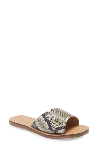 Matisse Sage Slide Sandal In Khaki Snake Leather