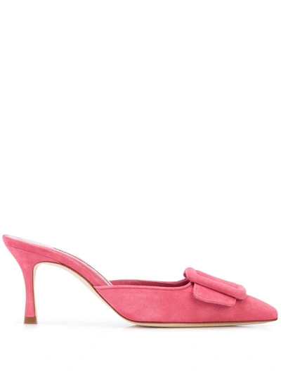 Manolo Blahnik Maysale Buckle Detail Mules In Pink