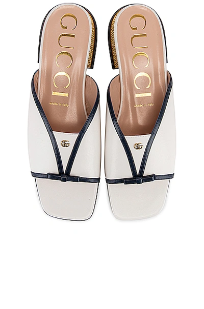 Gucci Alison Sandals In Blue & Great White