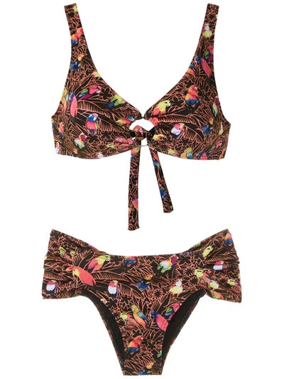 Amir Slama Papagaio Print Bikini Set In Black