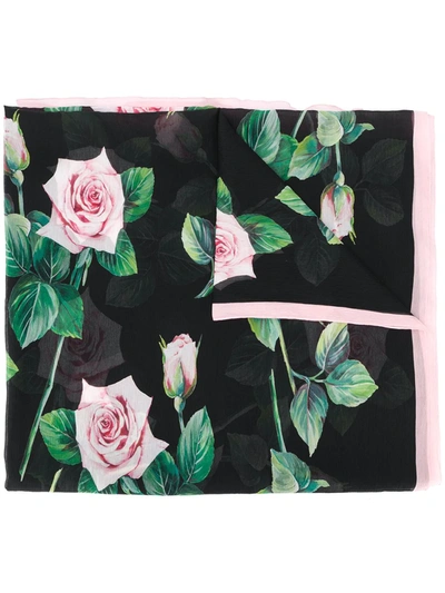 Dolce & Gabbana Tropical Rose Print Scarf In Pink