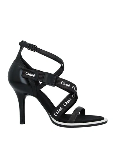 Chloé Sandals In Black