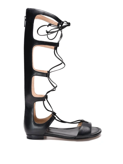Michael Kors Sofia Gladiator Sandals In Black