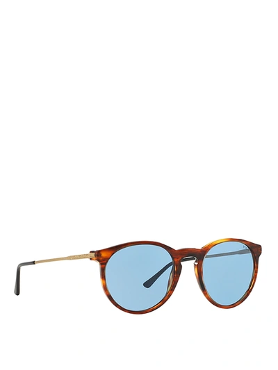 Polo Ralph Lauren Clear Lenses Sunglasses In Brown