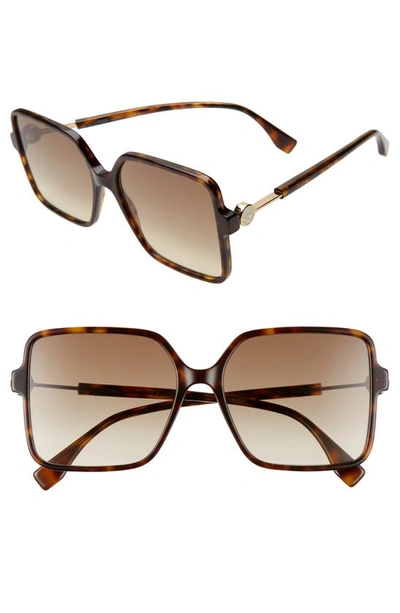 Fendi 58mm Gradient Square Sunglasses In Dark Havana/ Brown