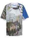 Doublet Rushmore T-shirt In Grey