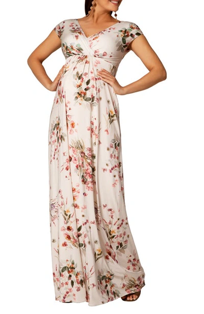 Tiffany Rose Maternity Francesca Short-sleeve Maxi Dress In Petal Pink Floral