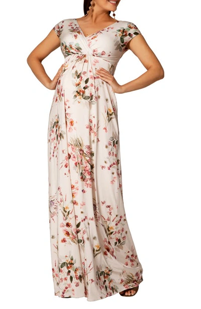 Tiffany Rose Maternity Francesca Short-sleeve Maxi Dress In Petal Pink