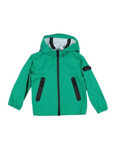 Ai Riders On The Storm Babies' Jacket In Green