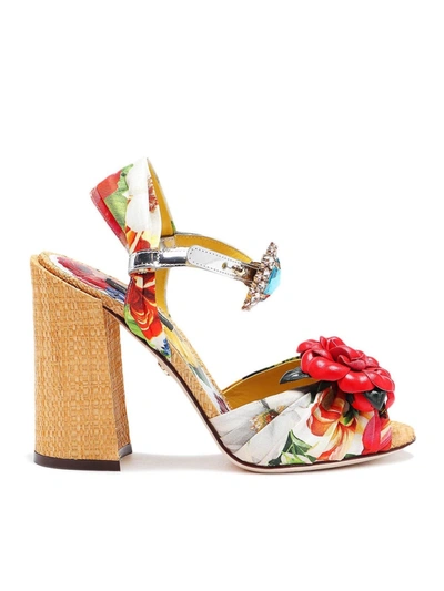 Dolce & Gabbana Floral Sandals In Multi