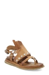 As98 Pacey Sandal In Camel