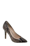 Charles By Charles David Maxx Pointed Toe Pump In Dark Taupe