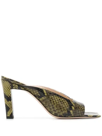 Wandler Isa Square Open-toe Snake-effect Leather Mules In Green