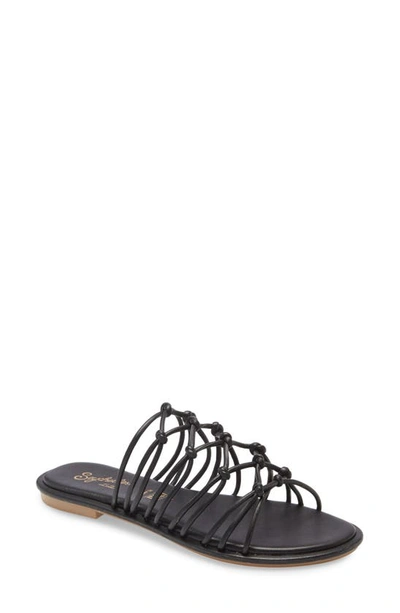 Seychelles Authentic Summer Slide Sandal In Black