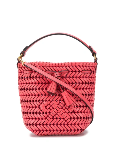 Anya Hindmarch Neeson Woven Bucket Bag In Pink