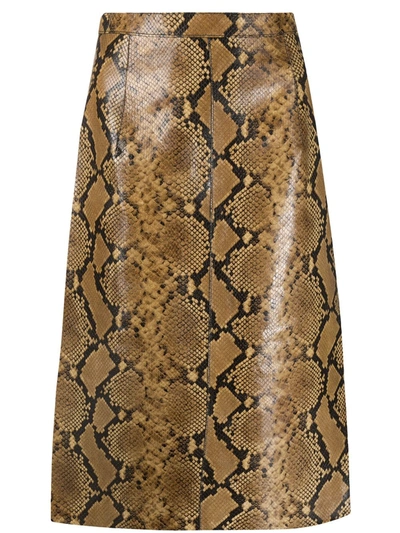 N°21 Snakeskin Printed Leather Skirt In Neutrals