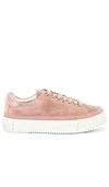 Allsaints Women's Trish Platform Sneakers In Blush Suede