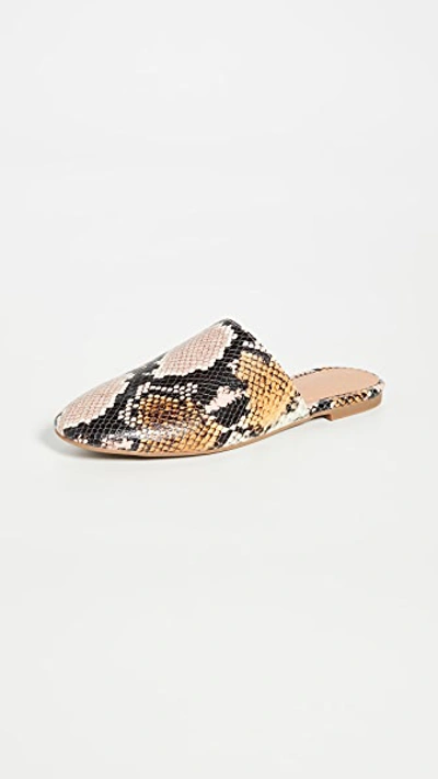 Madewell Carter Round Toe Mules In Forgotten Petal Multi