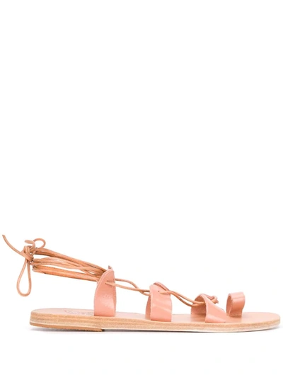 Ancient Greek Sandals Alcyone 多带凉鞋 In Neutrals