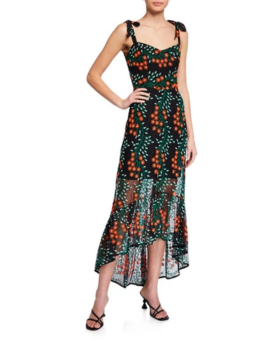 Dress The Population Wren Floral Embroidered Tie-strap High-low Dress In Black Multi