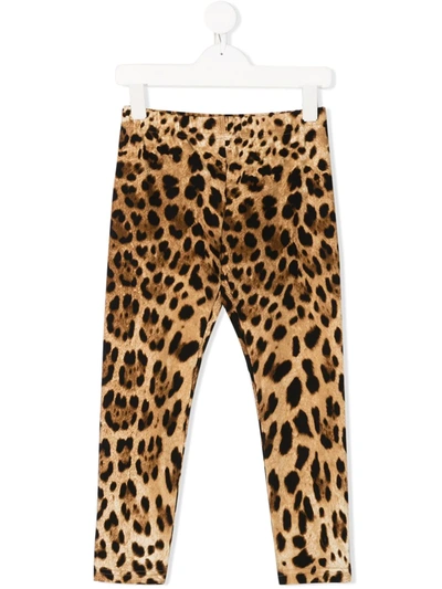 Dolce & Gabbana Kids' Leopard Print Cotton Interlock Leggings In Animal Print