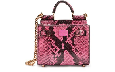 Dolce & Gabbana Elaphe Sicily 62 Micro Tote Bag In Fuchsia