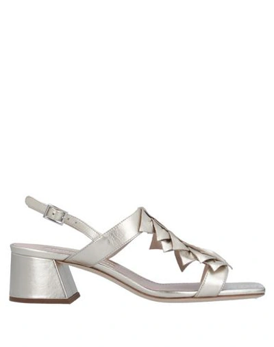 Alberto Gozzi Sandals In Platinum