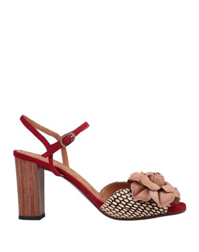 Chie Mihara Sandals In Pale Pink