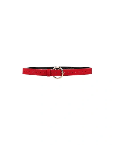 Sandro Regular Belt In Red