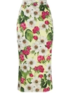 Dolce & Gabbana Midi Tube Skirt In Charmeuse With Small Rose Print In Floral Print