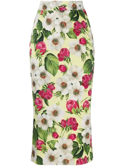 Dolce & Gabbana Midi Tube Skirt In Charmeuse With Small Rose Print In Floral Print