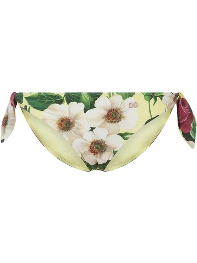Dolce & Gabbana Bikini Bottoms With Bows And Small Rose Print In Green