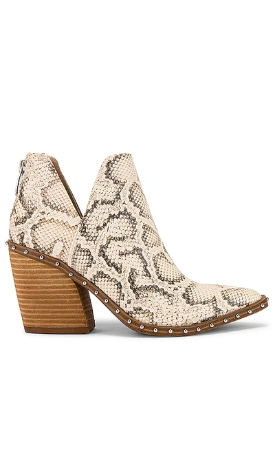 Steve Madden Alyse Bootie In Light Beige Snake