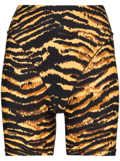 Adam Selman Sport Tiger-print Stretch Shorts In Black