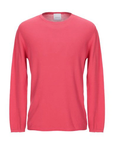 Bellwood Sweaters In Coral