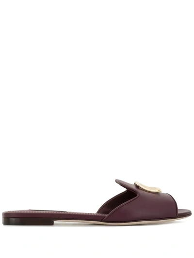 Dolce & Gabbana Logo Plaque Slide Sandals In Purple