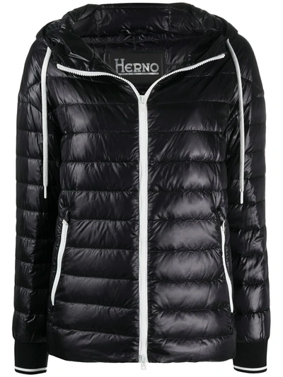 Herno Padded Hooded Jacket In Black