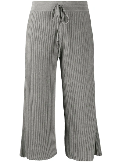 Falke Cropped Cotton Rib Knit Pants In Grey