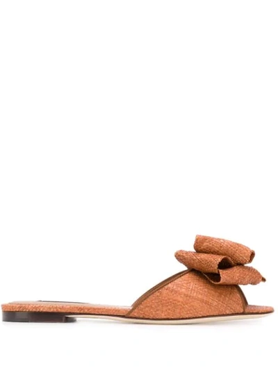 Dolce & Gabbana Bow Detail Flat Sandals In Brown