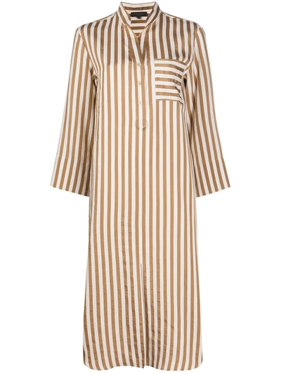 Antonelli Striped Shirt Dress In Brown