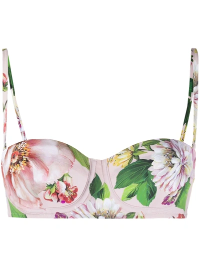 Dolce & Gabbana Floral Print Bikini Top In Neutrals