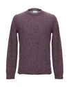 Bellwood Sweaters In Deep Purple