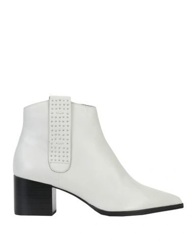 Bruno Premi Ankle Boots In Light Grey