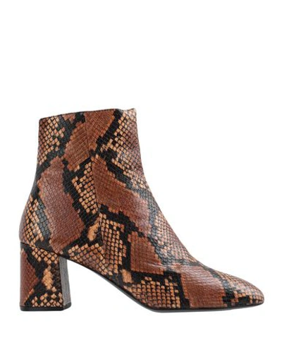 Bruno Premi Ankle Boots In Brown