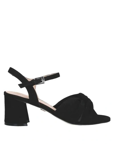 Carmens Sandals In Black