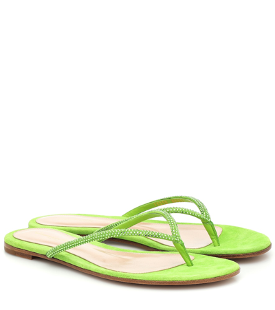 Gianvito Rossi India Suede Thong Sandals In Green
