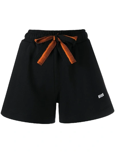 Msgm Fluted Cotton Shorts In Black
